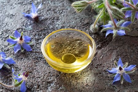 A bowl of borage oil with fresh blooming plant on a dark backgroundの写真素材
