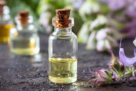 A bottle of essential oil with blooming clary sage twigs on a dark backgroundの写真素材