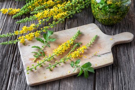 Preparation of herbal tincture from fresh agrimony flowersの写真素材