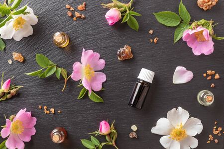 Bottles of essential oil with frankincense, myrrh and dog rose flowers on a dark backgroundの写真素材