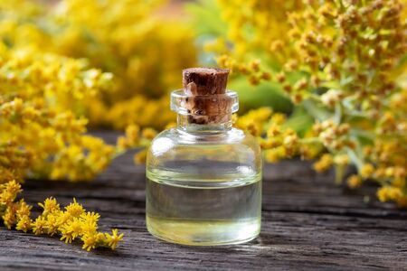 A bottle of Canadian goldenrod essential oil with fresh Solidago canadensis flowersの写真素材