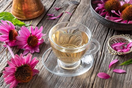 A cup of herbal tea with fresh echinacea flowers on a tableの写真素材