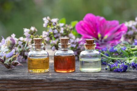 Three bottles of essential oil with hyssop, clary sage, mallow and blooming oregano in the...