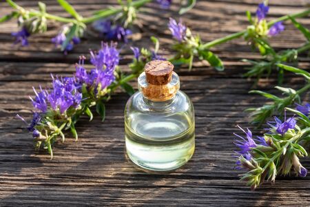 A bottle of essential oil with fresh blooming hyssop twigsの写真素材