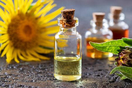 A bottle of essential oil with fresh Inula helenium plantの写真素材