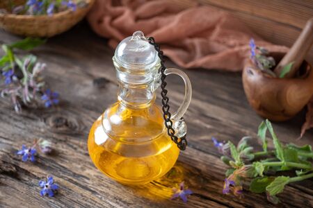 A beautiful bottle of borage oil with fresh blooming plant in the backgroundの写真素材