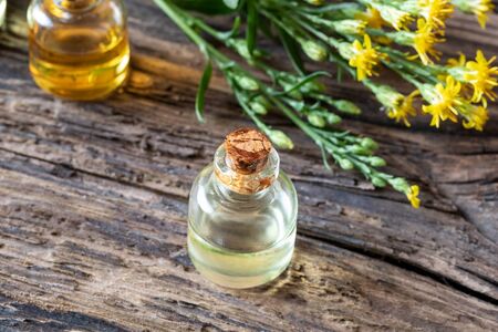 A bottle of European goldenrod essential oil with blooming Solidago virgaurea twigsの写真素材