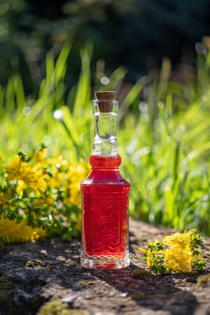 A bottle of red oil made from St. John's wort flowers, outdoorsの写真素材