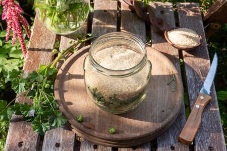 Preparation of mallow syrup against cough from fresh blooming Malva neglecta plant and cane sugar, outdoorsの写真素材