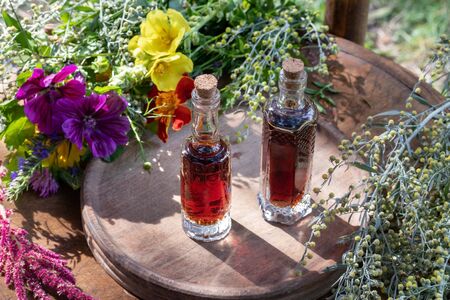 Two bottles of herbal tincture with fresh wormwood, mallow, mullein and other herbsの写真素材