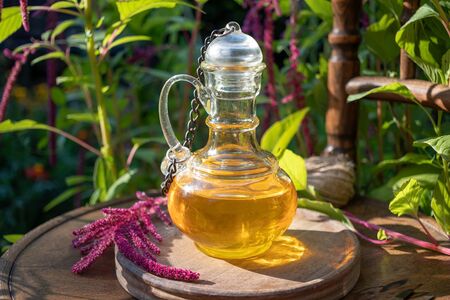 A bottle of Amaranthus caudatus oil with fresh flowersの写真素材