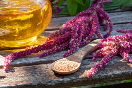 Amaranthus caudatus seeds, oil and flowers on a garden benchの写真素材