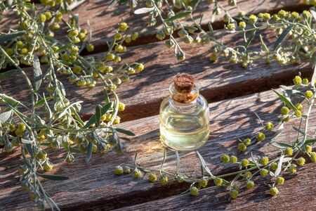 A bottle of wormwood essential oil with blooming Artemisia Absinthium plant on a wooden backgroundの写真素材