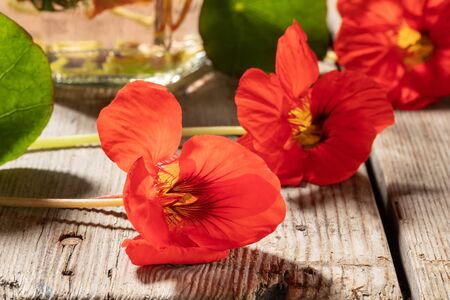 Fresh nasturtium flowers, with a bottle of tincture in the backgroundの写真素材