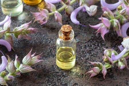 A bottle of essential oil with fresh blooming clary sage plantの写真素材