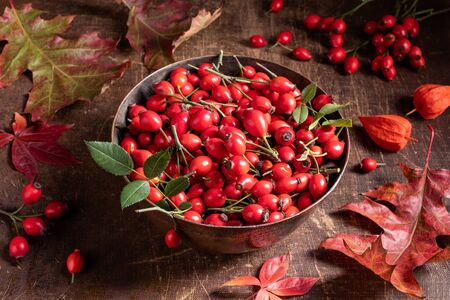 Fresh rose hips in a bowl on a table with autumn leavesの写真素材