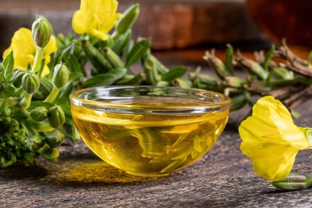 A bowl of evening primrose oil with fresh blooming plant in the backgroundの写真素材