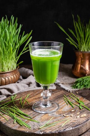 A glass of barley grass juice with freshly grown bladesの写真素材