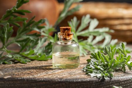 A bottle of wormwood essential oil with fresh Artemisia Absinthium plantの写真素材