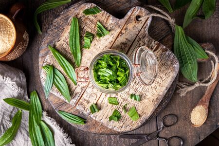 Preparation of homemade herbal syrup against cough from fresh ribwort plantain leaves and sugar, top viewの写真素材