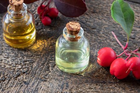 Bottles of essential oil with wintergreen leaves and berriesの写真素材
