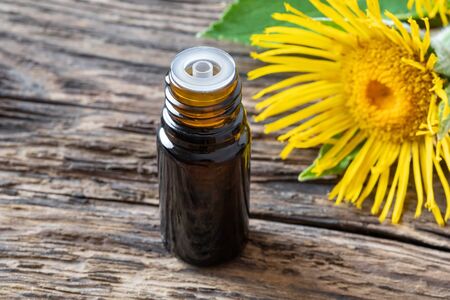 A dark bottle of elecampane essential oil with fresh blooming Inula helenium plantの写真素材