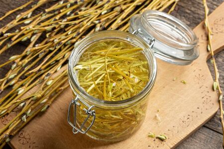 Preparation of herbal tincture from willow bark collected in early springの写真素材