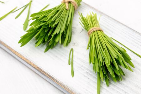 Fresh barley grass on a white wooden backgroundの写真素材