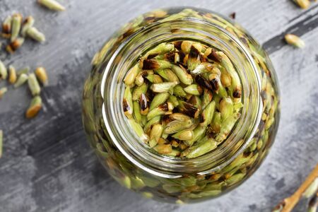 White willow buds in a glass jar - preparation of a gemmotherapy tinctureの写真素材