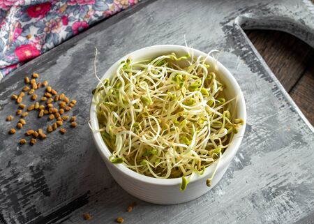 Fenugreek sprouts in a bowlの写真素材