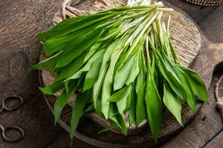 Fresh young wild garlic leaves on a rustic background