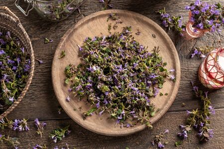 Cut-up blooming ground-ivy plant - ingredient to prepare homemade herbal syrup against coughの写真素材
