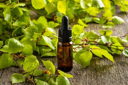 A dark bottle of essential oil with fresh birch branchesの写真素材