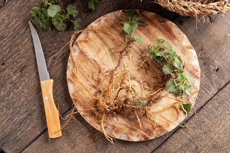 Fresh young nettles with roots collected in early spring, top viewの写真素材