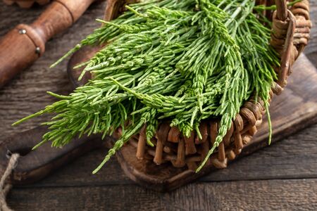 Fresh horsetail twigs in a basket on a tableの写真素材