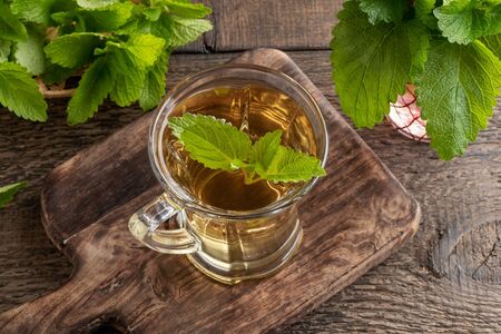 A cup of herbal tea with fresh melissa plantの写真素材