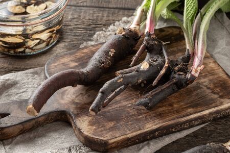 Comfrey root with young leaves collected in spring, with tincture in the backgroundの写真素材