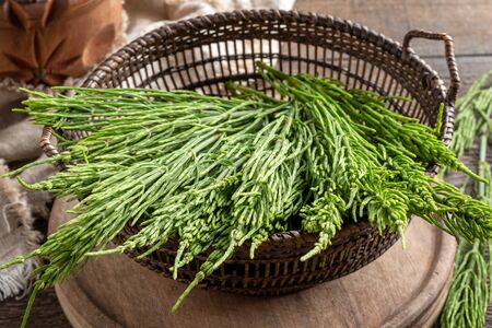 Fresh horsetail twigs in a basket on a tableの写真素材