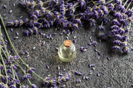 A bottle of essential oil with lavender twigs on a gray backgroundの写真素材