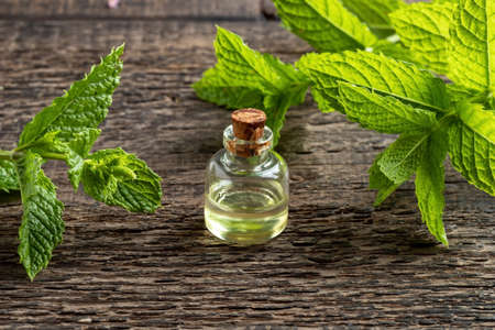 A bottle of essential oil with fresh melissa leavesの写真素材