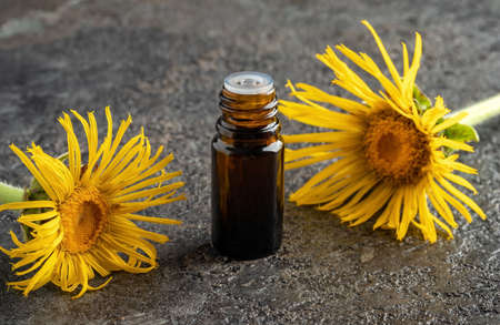 A dropper bottle of elecampane essential oil with Inula helenium flowersの写真素材