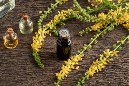 A bottle of essential oil with fresh blooming agrimonyの写真素材
