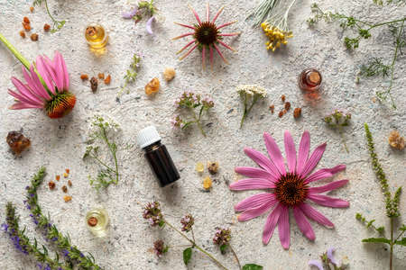 Bottles of essential oil with frankincense, hyssop, blooming oregano, echinacea and other herbs on a bright backgroundの写真素材