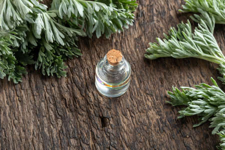 A bottle of essential oil with fresh wormwood plant, with copy spaceの写真素材