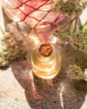 A bottle of essential oil with blooming yarrow twigs