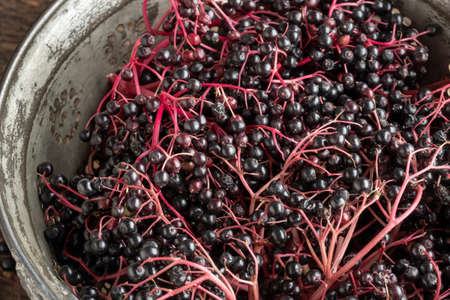Closeup of black elder berries in a sieveの写真素材