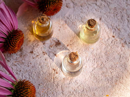 Bottles of essential oil with fresh echinacea flowersの写真素材