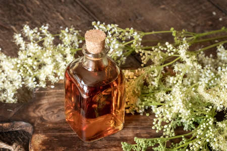 A bottle of homemade meadowsweet tincture with fresh blooming plant on a tableの写真素材