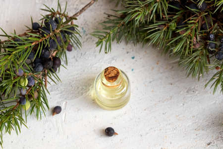 A bottle of essential oil with fresh juniper twigs on a white backgroundの写真素材