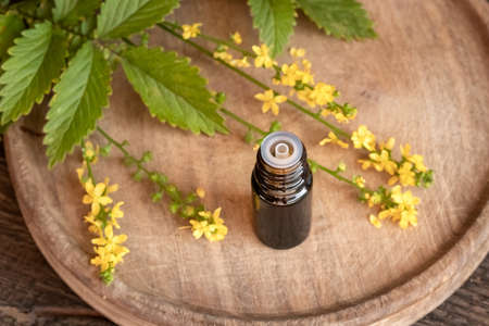 A bottle of herbal tincture with fresh blooming agrimony plantの写真素材